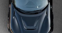 NOVITEC Carbon Engine Bonnet Insert for Ferrari Purosangue