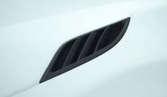 NOVITEC Carbon Engine Bonnet Air-Outlet Inserts for Ferrari Portofino - 412 Motorsport